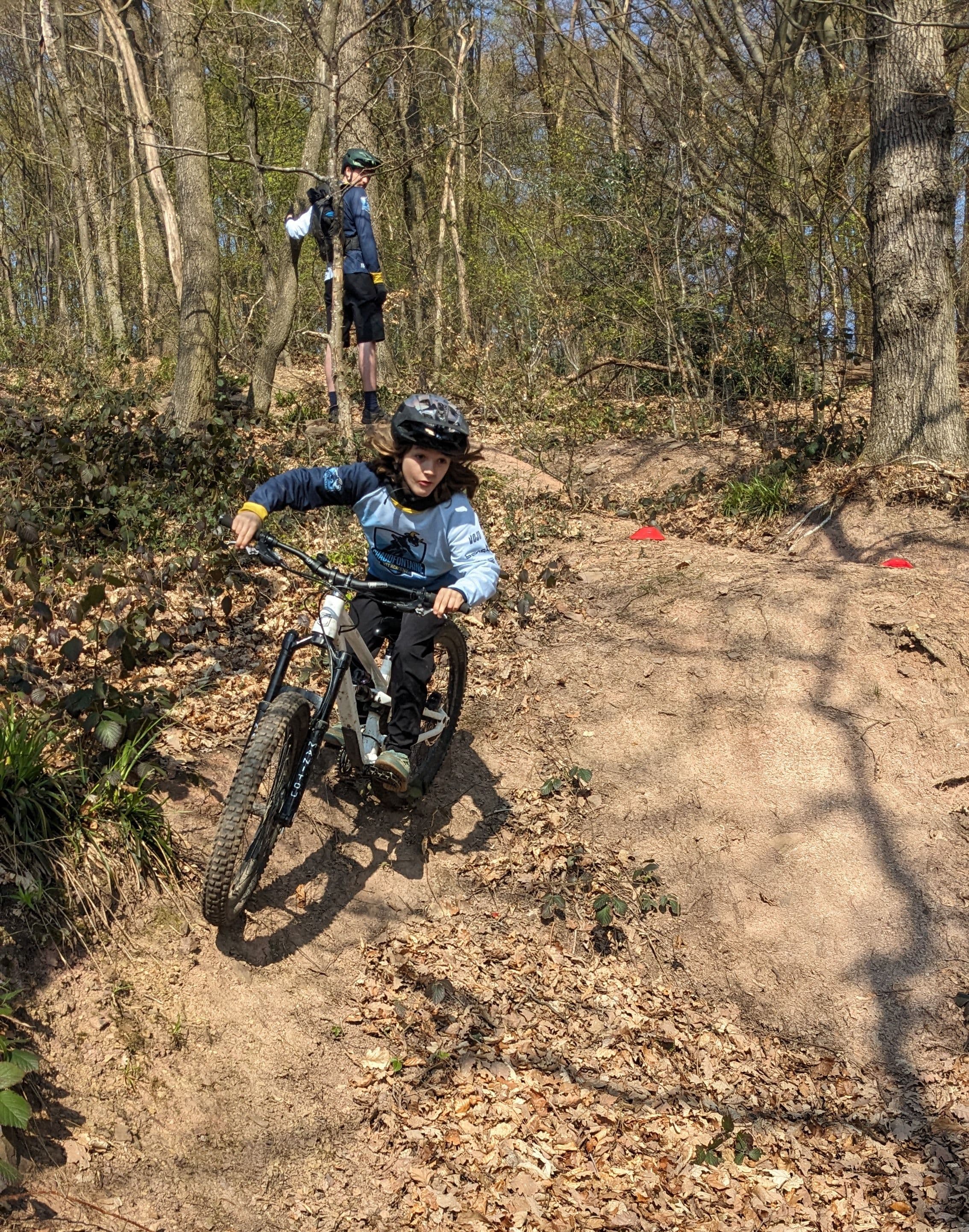 En foret3